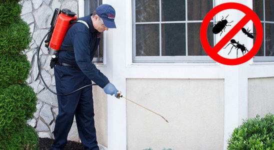 Çifteler Fare İlaçlama böcek ilaçlama ve haşere kontrolü — ilaclama-tr.com